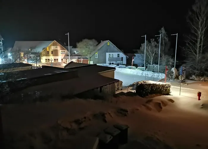 Chalet Winterberg شقة وينتربرغ