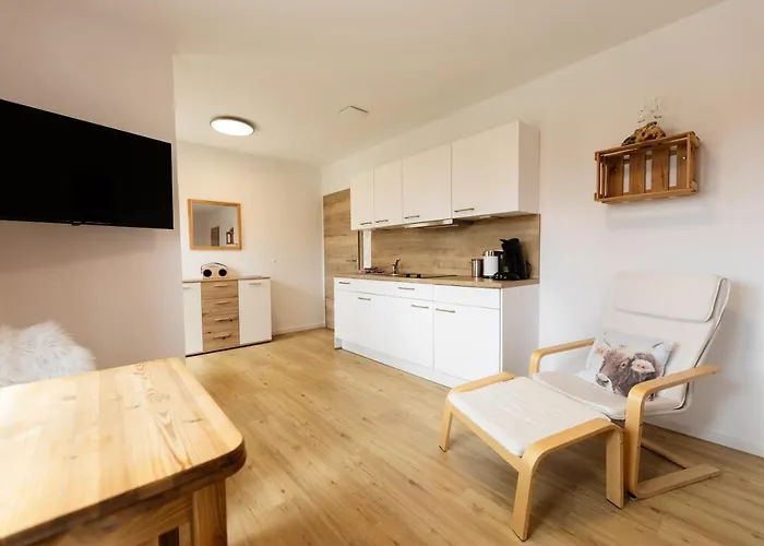 Apartament Chalet Winterberg